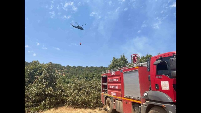 Bingöl'de orman yangını: Havadan karadan müdahale sürüyor