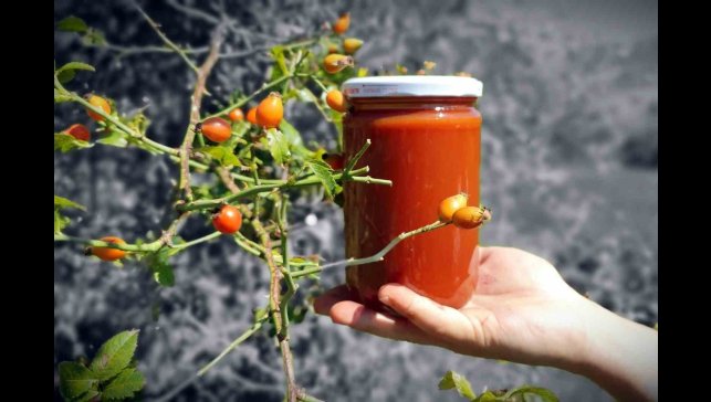 Zorlu arazilerden toplanan kuşburnu marmelat olarak kavanozlara giriyor