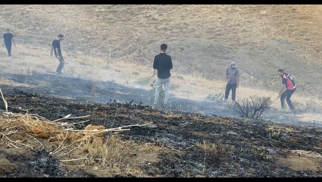 Yüksekova'da anız yangını çevredeki evlere kadar yaklaştı: Ekiplerin müdahalesi sürüyor