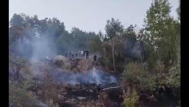 Hakkari'de ormanlık alanda yangın