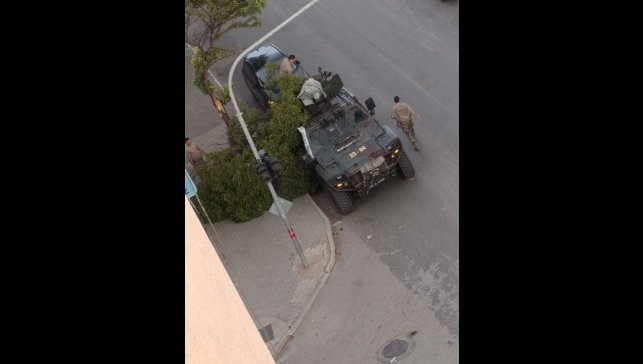 Kovancılarda ağaç dalları kırıldı