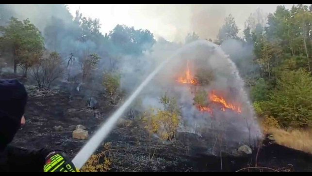 Hakkari'de 3 farklı bölgede çıkan yangın itfaiye ekiplerince söndürüldü