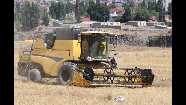 Diyadin'de hasat mevsimi başladı