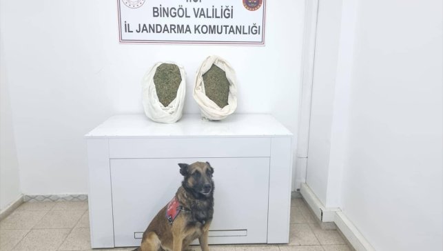 Bingöl'de 9 kilo 892 gram esrar ele geçirildi