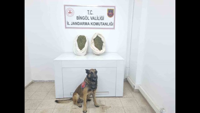 Bingöl'de jandarma ekipleri 10 kiloya yakın esrar ele geçirdi