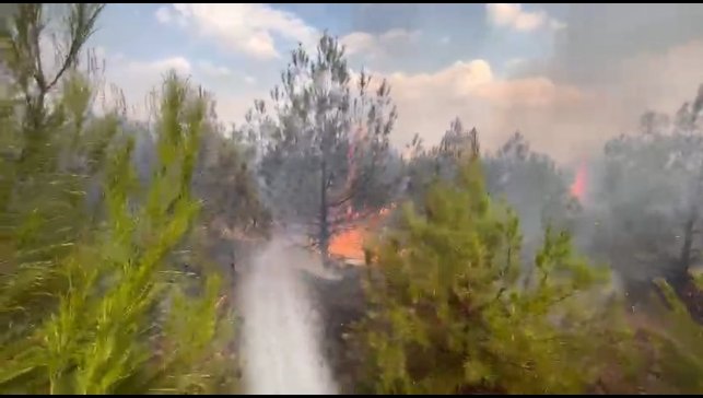 Elazığ'da ormanlık alanda yangın