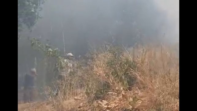 Türkiye-İran sınırında yangın: Vatandaşlar müdahale etti