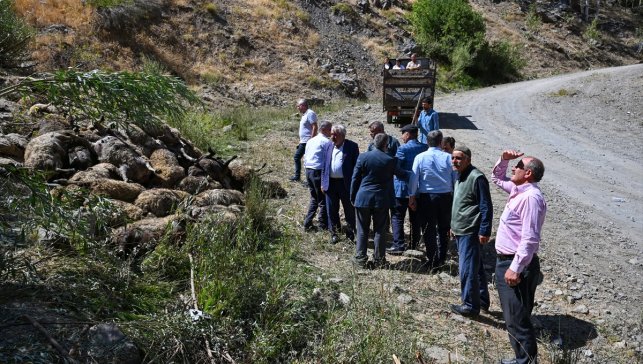 Van'da kayalık alandan düşen 334 küçükbaş hayvan telef oldu