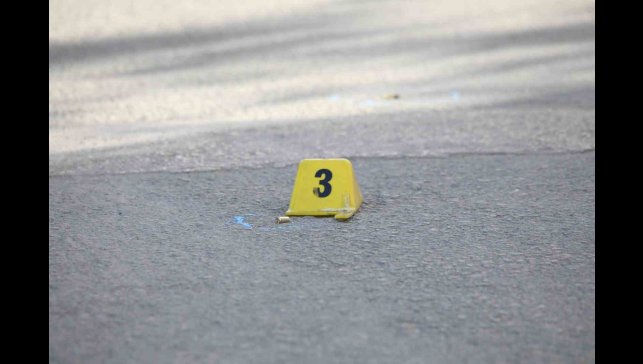 Erciş'te iki kardeşe silahlı saldırı: 1 ölü, 1 yaralı