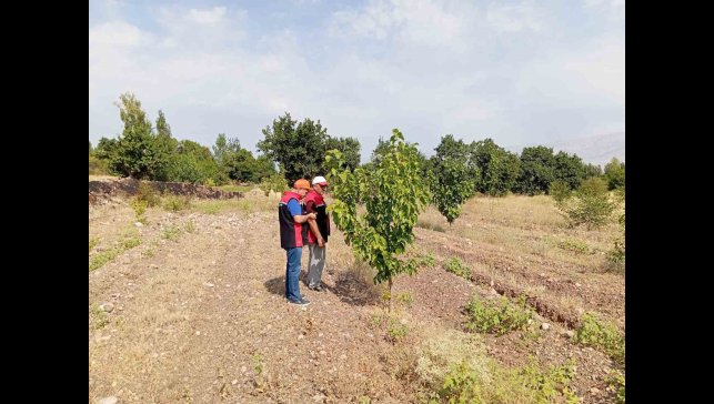Konakbaşı köyündeki dut bahçesinde hastalık ve zararlı kontrolleri yapıldı