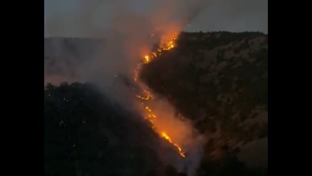 Şemdinli'de ormanlık alanda korkutan yangın