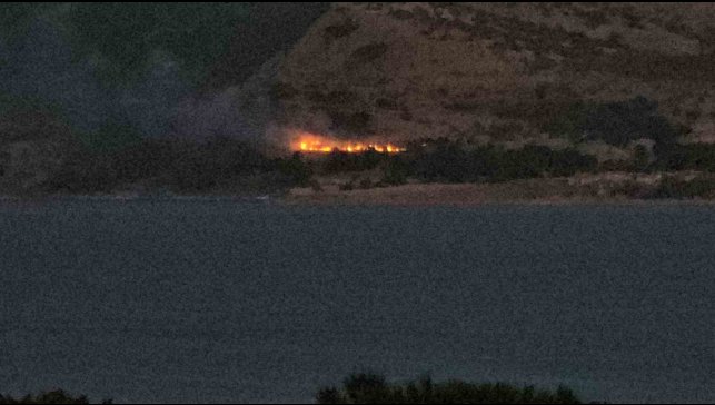 Tatvan'da orman yangını