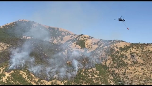 Şemdinli'deki orman yangınına hava destekli müdahale