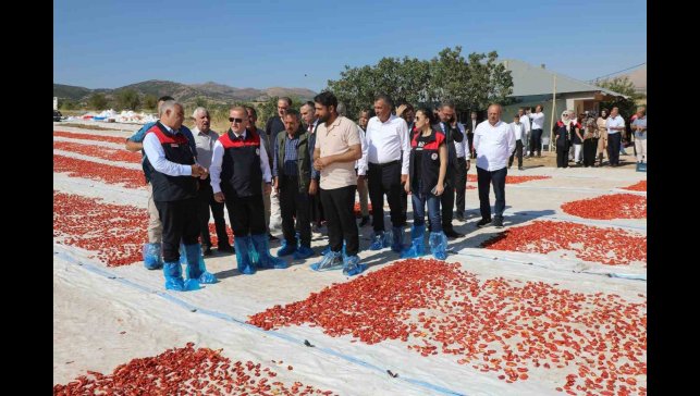 Elazığ'da 100 bin 352 ton domates rekoltesi bekleniyor