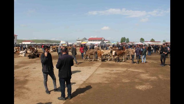 Ağrı'da Canlı Hayvan Borsası 10 Eylül'de açılacak