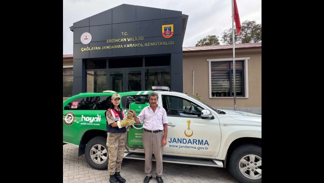 Yaralı Şahin'e jandarmadan şefkat eli