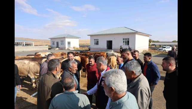 Kars Hayvan Pazarı açıldı