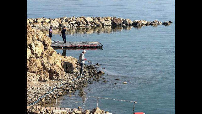 Van'da vektörle mücadele seferberliği