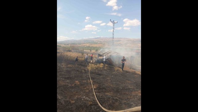 Bingöl'de örtü yangını
