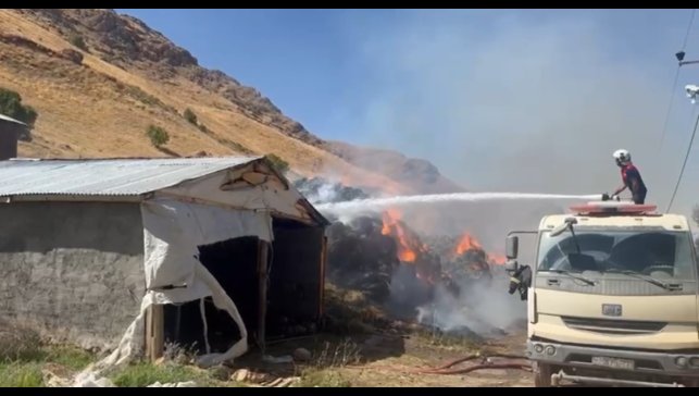 Yüksekova'da 20 bin bağ ot kül oldu