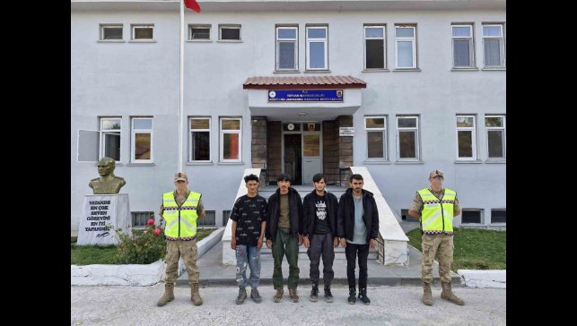 Tatvan'da 4 düzensiz göçmen yakalandı