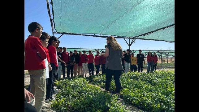Van'da öğrenciler doğa bilinci için fidan dikecek