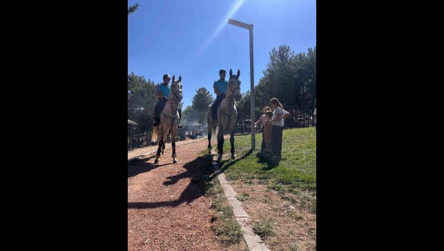 Elazığ'da Harput ve Cip, Atlı Jandarma Timlerine emanet