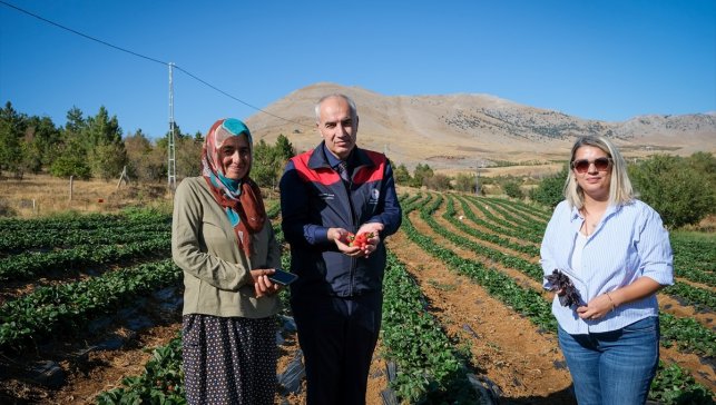 Malatya Tarım ve Orman Müdürü Akar'dan domates ve çilek üreticilerine ziyaret