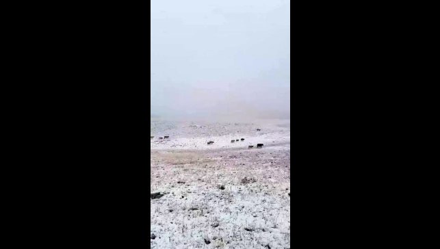 Erzurum'a mevsimin ilk karı yağdı