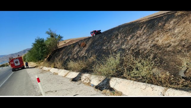 Elazığ'da otluk alanda yangın