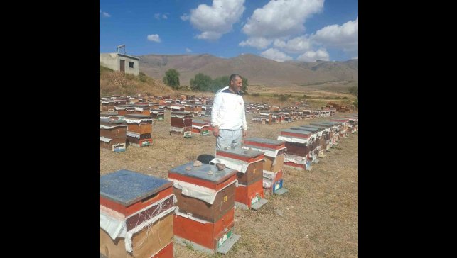Erzurum'un Çat ilçesinde arıcıların ayı nöbeti