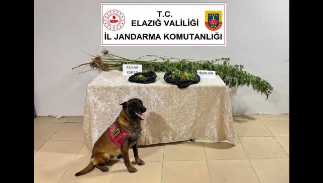 Elazığ'da uyuşturucuyla mücadele