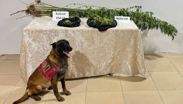 Elazığ'da uyuşturucu operasyonunda 1 şüpheli yakalandı