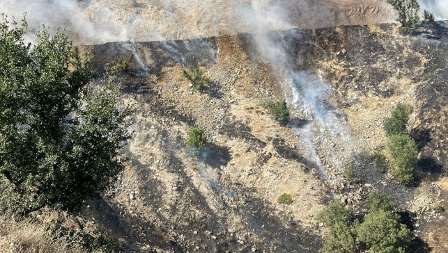 Hizan'da çıkan anız yangını söndürüldü