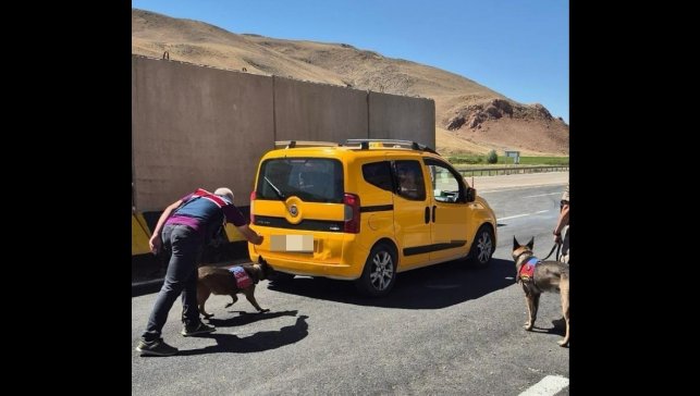 Van'da değişik suçlardan 17 kişi tutuklandı