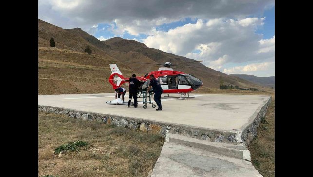Serebrovasküler hasta ambulans helikopterle Van'a sevk edildi