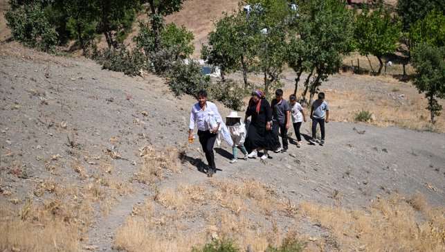 Şehir hayatını bırakarak 30 kovanla arıcılığa başlayan çift, siparişlere yetişemiyor
