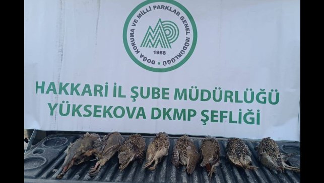 DKMP ekipleri kaçak keklik avlayan şahsa cezai işlem uyguladı