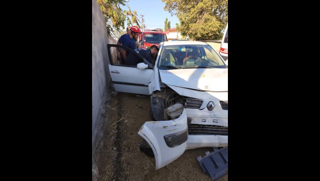 Iğdır'da direğe çarpan otomobildeki 3 kişi yaralandı