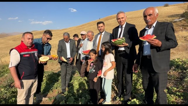 Yüksekova'da mısır, karpuz ve kavun hasadı yapıldı