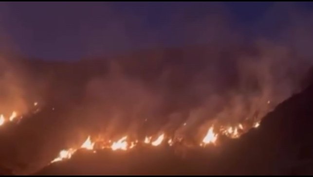 Erzincan'da örtü yangını ormana sirayet etmeden kontrol altına alındı