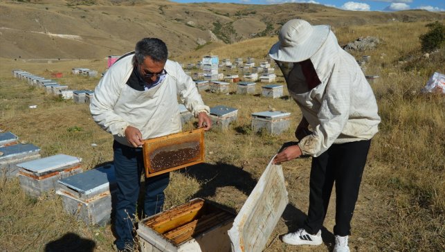 Erzurum'da 60 haneli mahallede hemen hemen her aile bal üretiyor