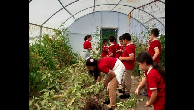 Erzincan'da öğrenciler serada kış sebzelerinin ekimine başladı