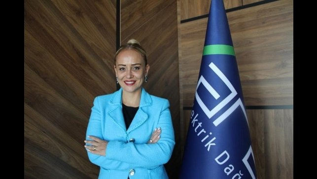 Aras EDAŞ CFO'su Arzu Miroğlu'na uluslararası ödül