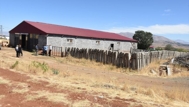 Malatya'da besicilere 2 bin 932 damızlık büyükbaş hayvan verilecek