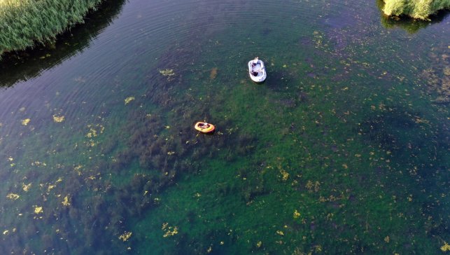 Kuşların Ağrı Dağı eteğindeki yuvası Karasu bataklığa dönüşme tehlikesi altında