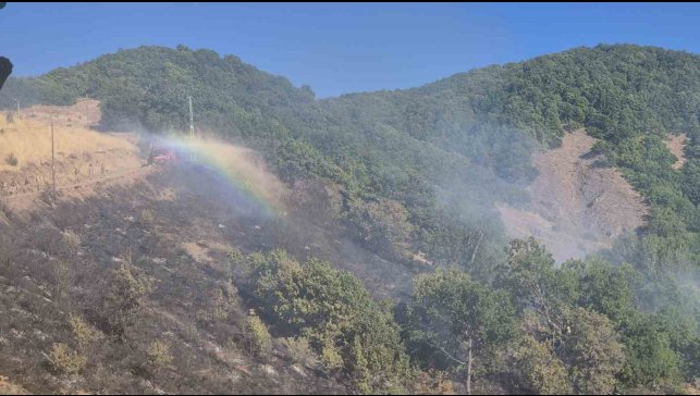 Tunceli'de kırsal alanda yangın: Havadan ve karadan müdahale sürüyor