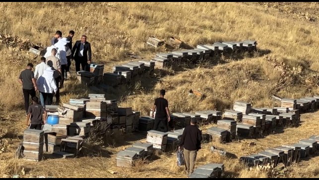 Yüksekova'da bal hasadı başladı
