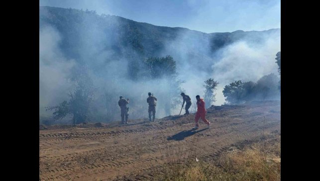 Tunceli'de kırsal alanda çıkan yangın söndürüldü: Soğutma çalışmaları sürüyor