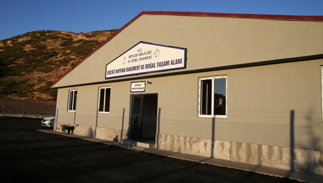 Bitlis'te "can dostlar" için doğal yaşam alanı oluşturuldu